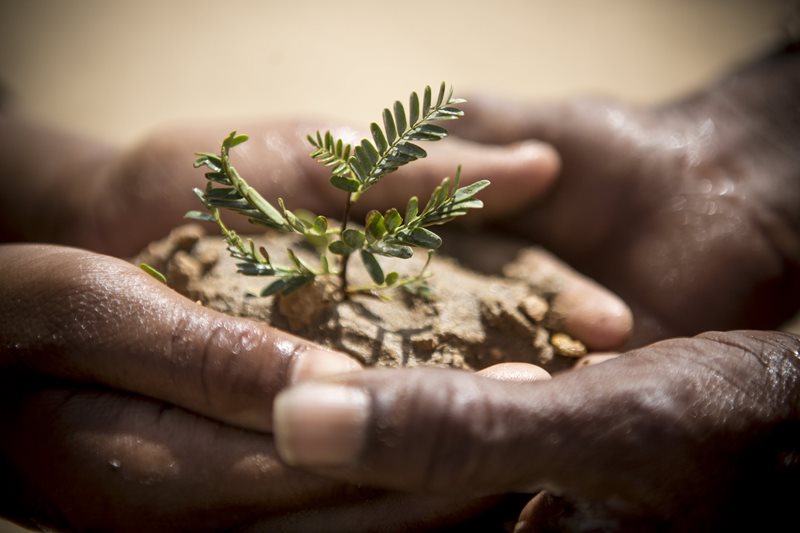 Sustainability