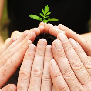 Climate Action